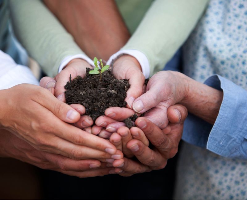 De groei van mensen en organisaties.